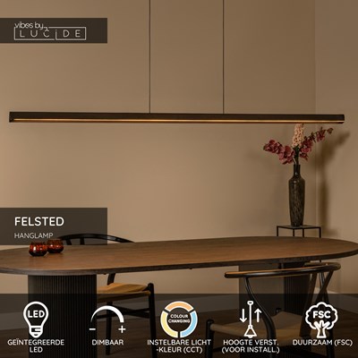Lucide FELSTED - Hanglamp - LED Dimb. - CCT - 1x28W 2200K/4000K - Zwart | Vibes